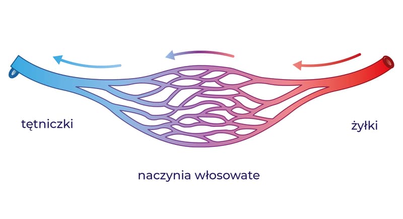 kroplowki koszalin